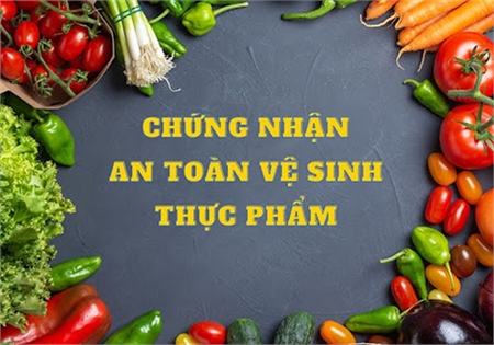 AI CẦN XIN GIẤY CHỨNG NHẬN AN TOÀN THỰC PHẨM? HƯỚNG DẪN CHI TIẾT 2025