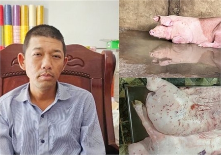 CẬN CẢNH THỊT HEO C.P. BỊ TỐ BẤT THƯỜNG: NHIỀU DẤU HIỆU VI PHẠM AN TOÀN THỰC PHẨM 