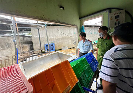 CP THỪA NHẬN SAI PHẠM TẠI LÒ MỔ: THỊT HEO KHÔNG ĐẢM BẢO ĐÃ ĐƯỢC XỬ LÝ